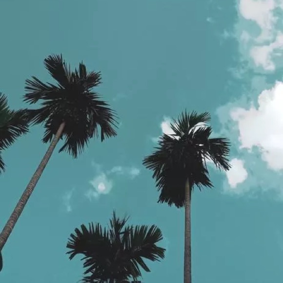 Meet your Posher, Leshae - Picture 1 of 1